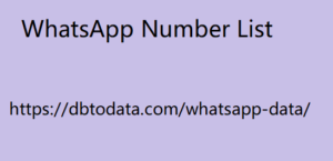 WhatsApp Number Data