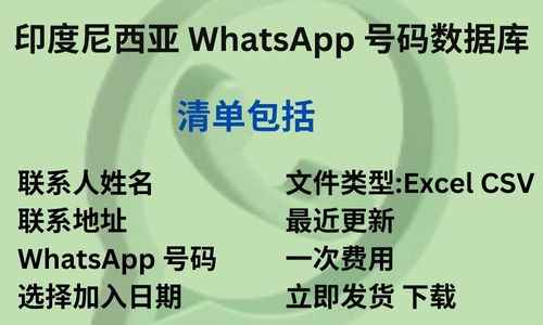 印度尼西亚 WhatsApp 号码数据库