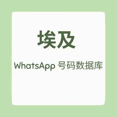 埃及 WhatsApp 号码数据库