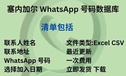 塞内加尔 WhatsApp 号码数据库