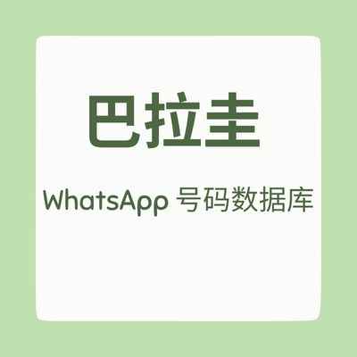 巴拉圭 WhatsApp 号码数据库