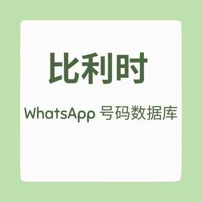 比利时 WhatsApp 号码数据库