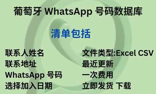 葡萄牙 WhatsApp 号码数据库